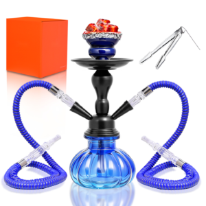 Glass Hookah Set with Foam Packaging