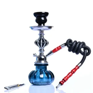Small Single-Hose Glass Hookah