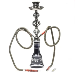 Large Two-Hose Glass Hookah Set