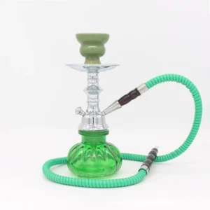 Small Glass Hookah with Hose Options