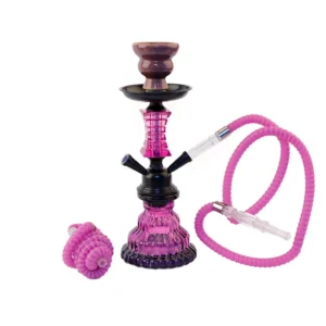 Small Two-Hose Hookah Set