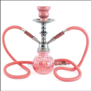 Two-Hose Glass Hookah Set